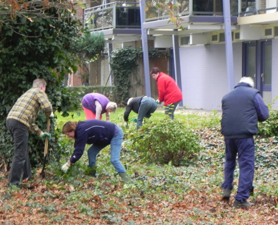 tuinonderhoudWeustink