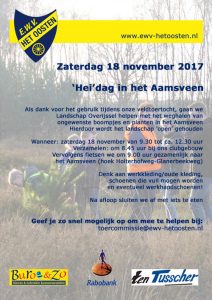 Opschoondag Aamsveen